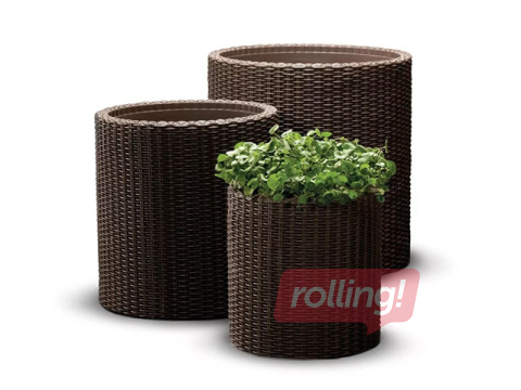 Dekoratīvo puķu podu komplekts Keter Cylinder Planters, plastmasas, brūni, S+M+L, 3 gab.