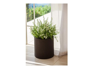 Dekoratīvo puķu podu komplekts Keter Cylinder Planters, plastmasas, brūni, S+M+L, 3 gab.