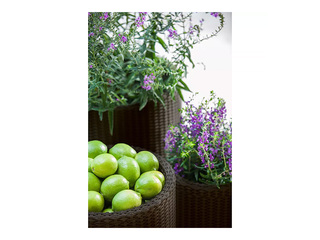 Dekoratīvo puķu podu komplekts Keter Cylinder Planters, plastmasas, brūni, S+M+L, 3 gab.