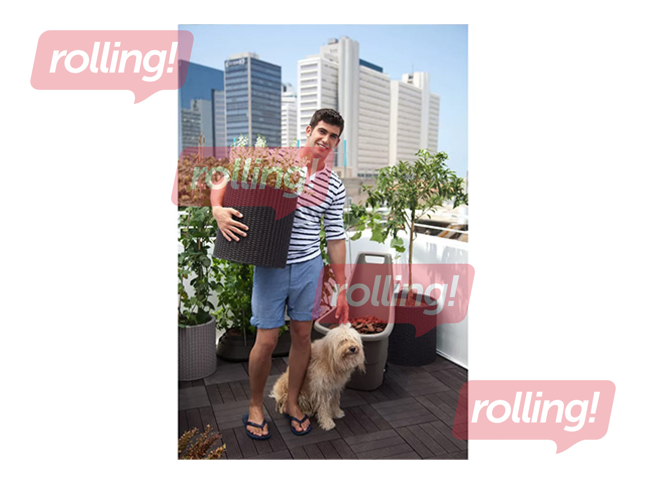 Dekoratīvo puķu podu komplekts Keter Cylinder Planters, plastmasas, brūni, S+M+L, 3 gab.