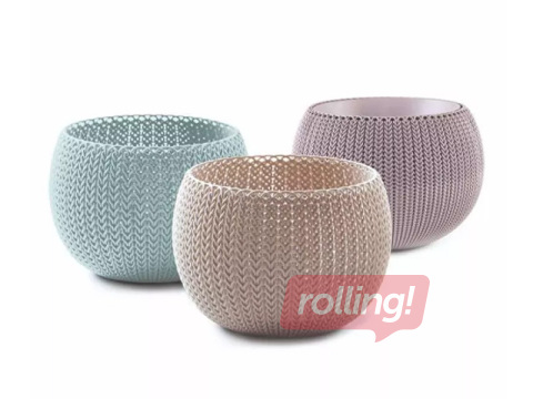 Dekoratīvo puķu podu komplekts Keter Cozies Trio, plastmasas, dažādas krāsas, Ø15cm, 3 gab.