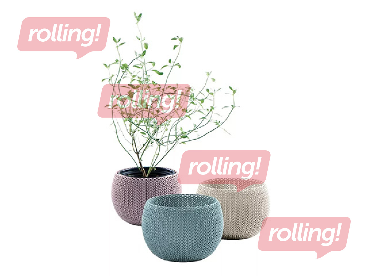 Dekoratīvo puķu podu komplekts Keter Cozies Trio, plastmasas, dažādas krāsas, Ø15cm, 3 gab.