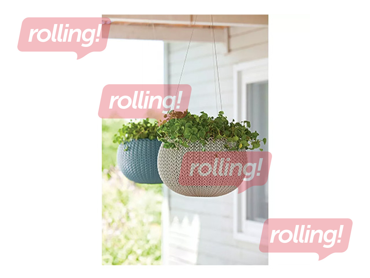 Dekoratīvais puķu pods Keter Cozy S, karināms, plastmasas, violets, Ø28cm