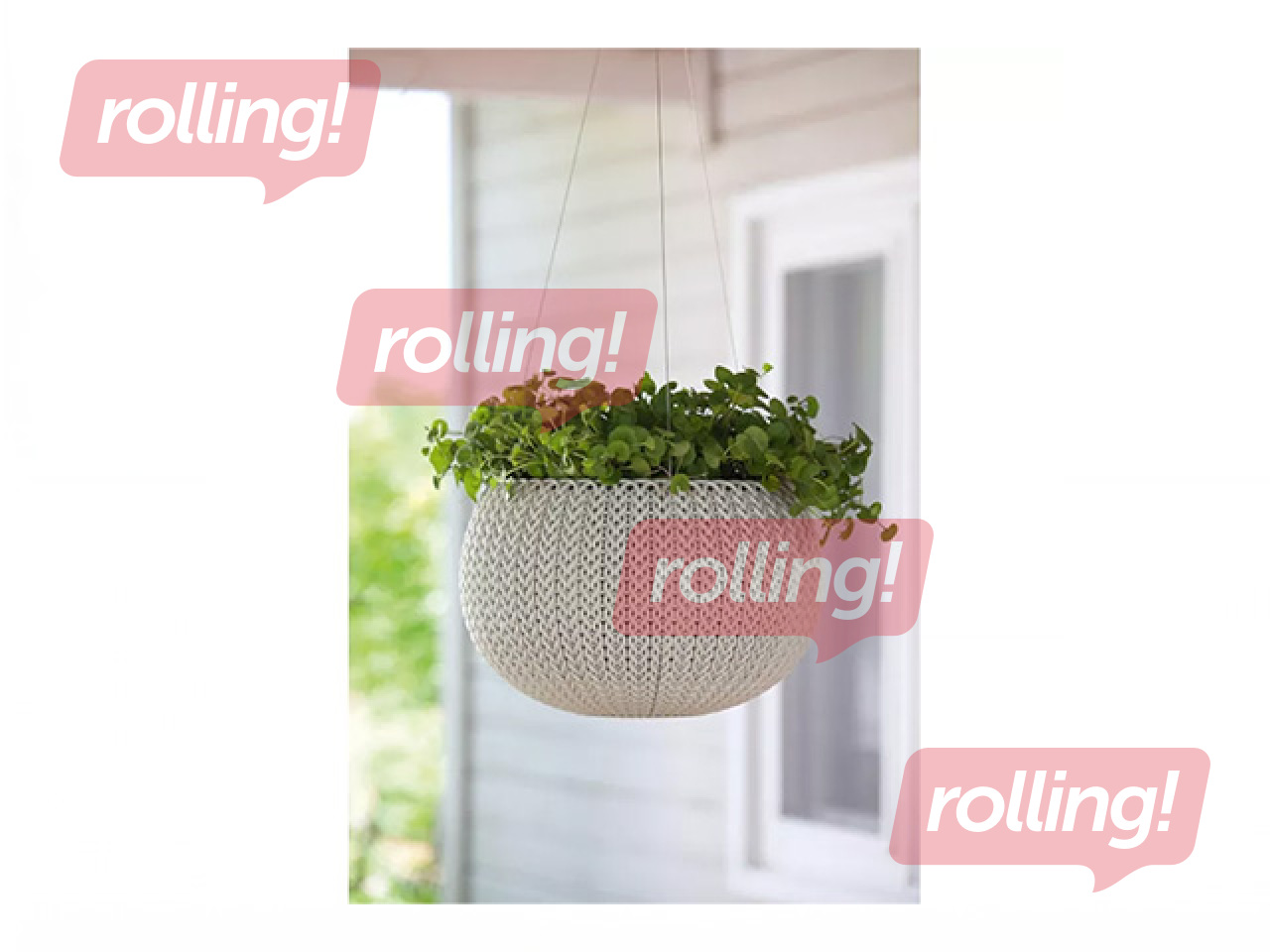 Dekoratīvais puķu pods Keter Cozy S, karināms, plastmasas, gaiši pelēks, Ø28cm