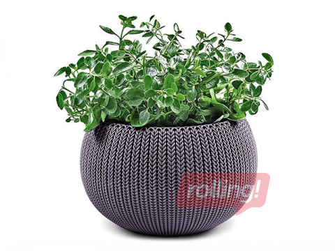 Dekoratīvais puķu pods Keter Cozy M, karināms, plastmasas, violets, Ø36cm