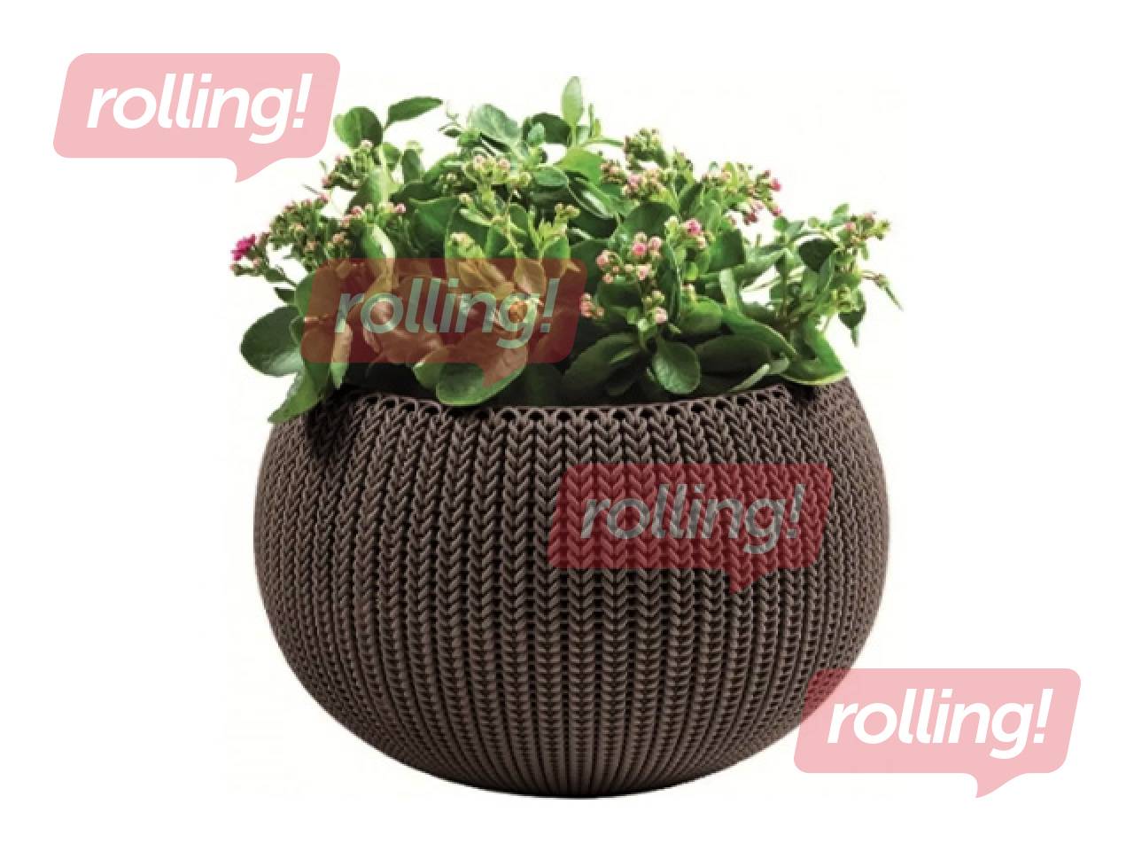 Dekoratīvais puķu pods Keter Cozy M, karināms, plastmasas, brūns, Ø36cm