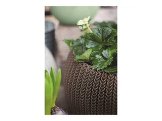 Dekoratīvais puķu pods Keter Cozy M, karināms, plastmasas, brūns, Ø36cm
