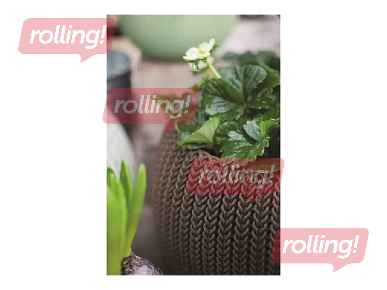 Dekoratīvais puķu pods Keter Cozy M, karināms, plastmasas, brūns, Ø36cm