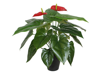 Artificial plant Anthurium flamingo, black pot, 45cm
