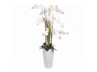 Kunsttaim Garden Queen, valge orhidee, 132cm