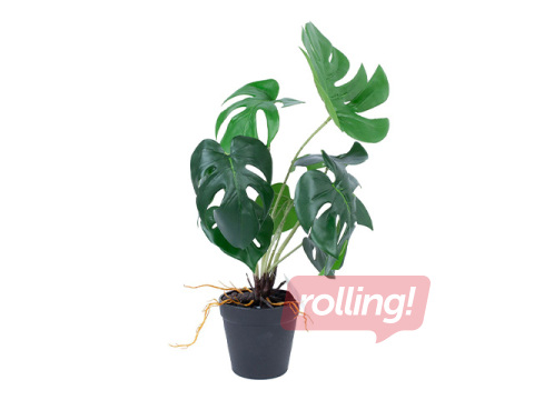 Mākslīgais augs Greenland Monstera podiņā, 40cm