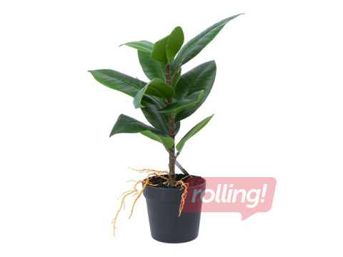 Artificial plant Greenland, rubber fig, 35cm