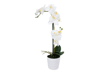 Kunsttaim In Garden, valge orhidee, 2 oksa, 51cm