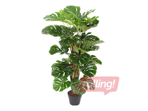 Mākslīgais augs Monstera, 105cm