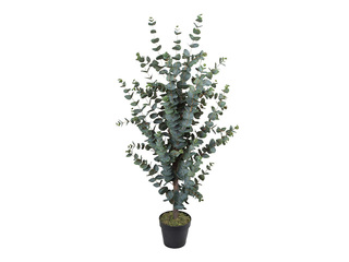 Kunstpuu Wind Eucalyptus, 120cm