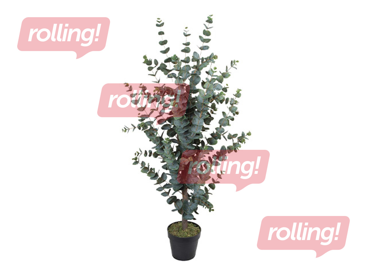 Mākslīgais koks Wind Eucalyptus, 120cm