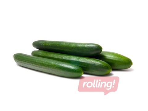 Long cucumbers, class 1, Finland, 1kg