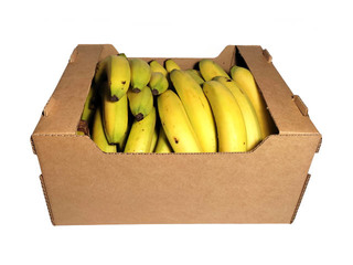 Bananas, 9 kg