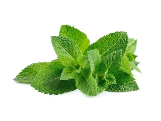 Peppermint pre-packed in thermo packaging 20g, 1st grade