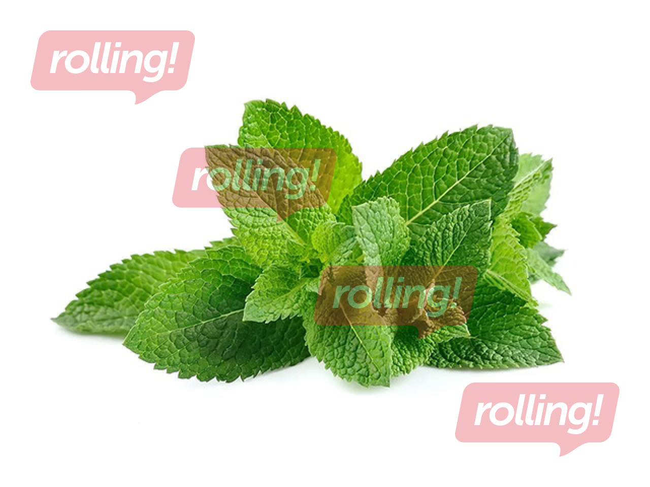 Piparmētra fasēta termoiepakojumā 20g, 1.šķira 