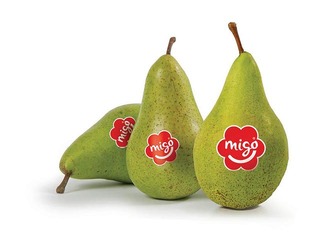 Pears Migo 75+cal, 1st class, 1kg
