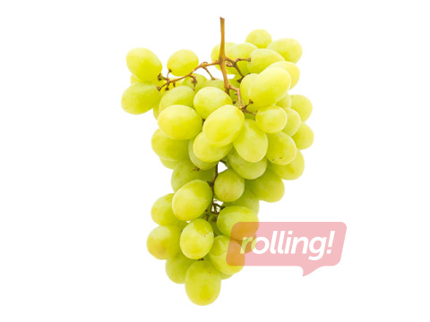 Light seedless grapes, pre-packed, 1st grade, 500g