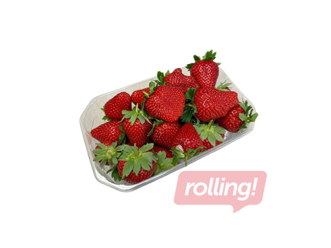 Strawberries, prepacked, 1st class, Netherlands, 500g