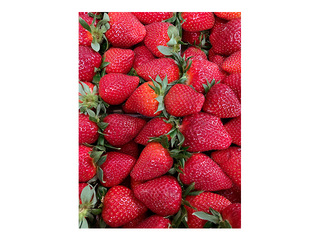 Strawberries, prepacked, 1st class, Netherlands, 500g
