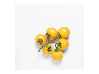 Tomāti Cherry, dzelteni, 1 šķ., Nīderlande, 250g