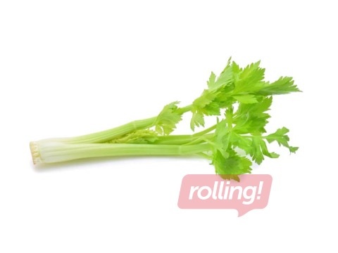 Стебли сельдерея 14/16кал, 1 сорт, Испания