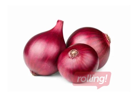 Красный лук, 40+ кал, 2 сорт, Нидерланды