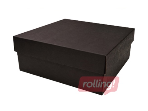 Iesaiņošanas kaste, 240x240x80mm, bez loga, melna