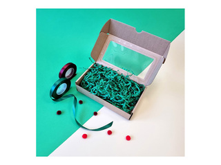 Iesaiņošanas kaste ar logu un atlokāmu vāku, 230x127x60mm