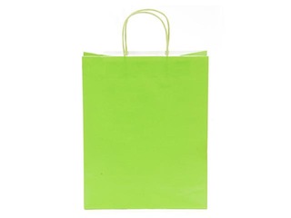 Dāvanu maisiņš papīra TOPTWIST 240x110x310mm, gaiši zaļš