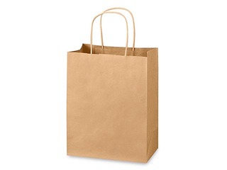 Paper gift bag TOPTWIST 190x80x210 mm, brown craft paper