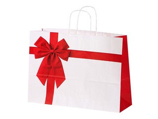 Бумажный подарочный пакет Rosette, 550x150x490мм, белый