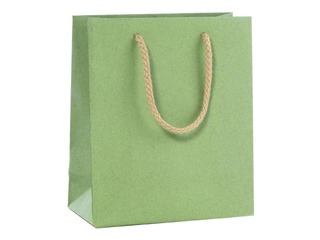 PROMO Sangadega paberkott, 220 x 100 x 290 mm, salveiroheline