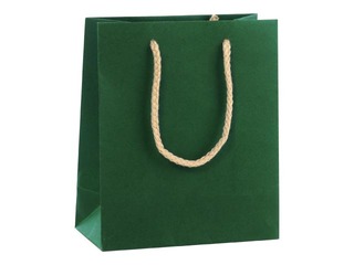 Paper bag with handles, 160x80x190 mm, dark green