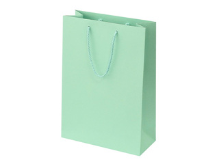 Paper bag with handles, mint, 230x100x330mm
