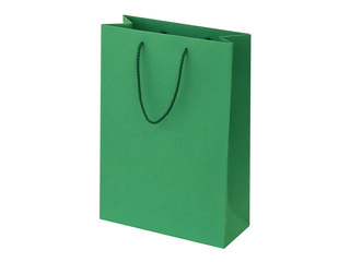 Paper bag with handles, green, 230x100x330mm
