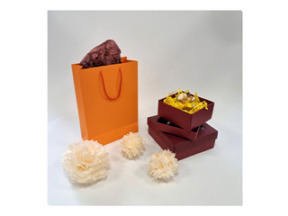 Papīra maisiņš ar rokturiem, oranžs, 230x100x330mm