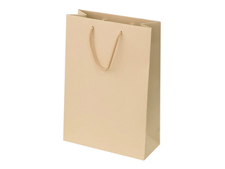 Paper bag with handles, beige, 230x100x330mm