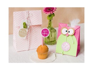 Maisiņi papīra,12 gab, 2 veida rozā krāsas motīvi