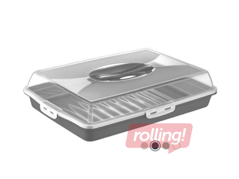 Trauks Dunya, kūku pārvadāšanai, dažādas krāsas, 45x31x10cm