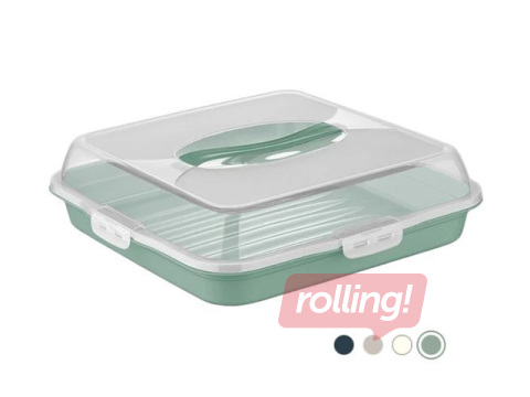 Koogikarp Dunya, 36×36×10cm