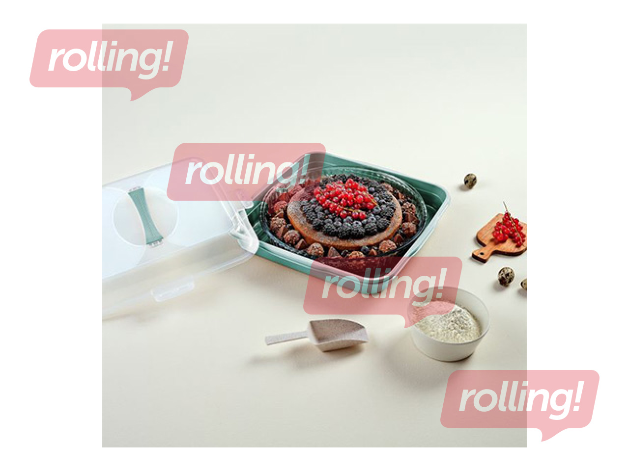 Koogikarp Dunya, 36×36×10cm