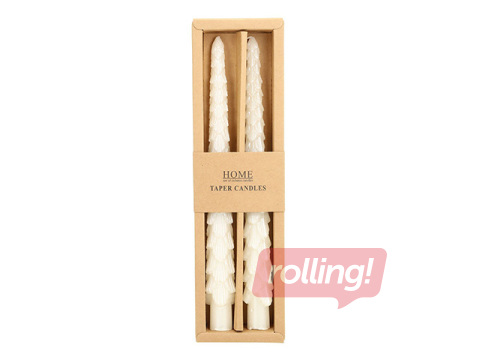 Svece Carols, antīka, balta egle, 25cm, 2 gab.