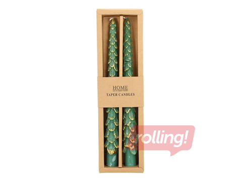 Svece Carols, antīka, zaļa egle, 25cm, 2 gab.