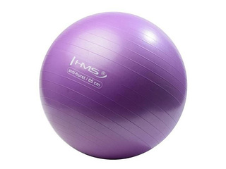 Гимнастический мяч с насосом, фиолетовый, Ø65см