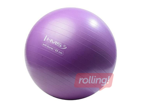 Vingrošanas bumba ar pumpi, violeta, Ø65cm